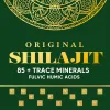 Picture of Himalayan Shilajit Resin Supplement